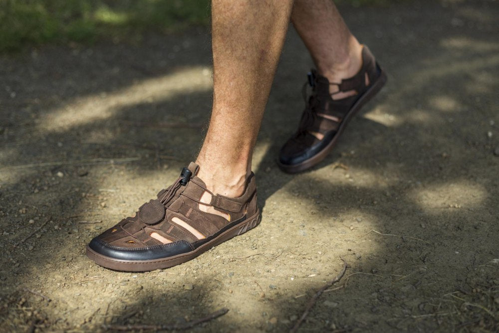 Qlear ciemnobrązowy