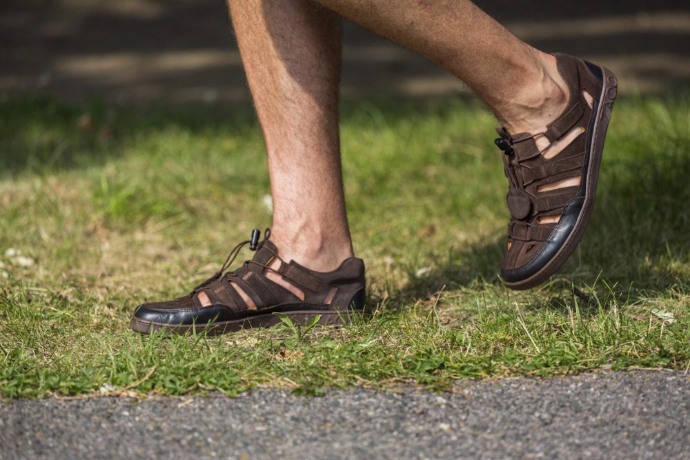 Qlear ciemnobrązowy